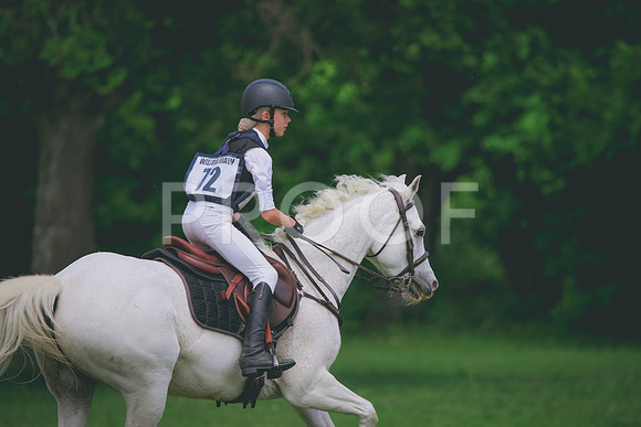 RWP_4178