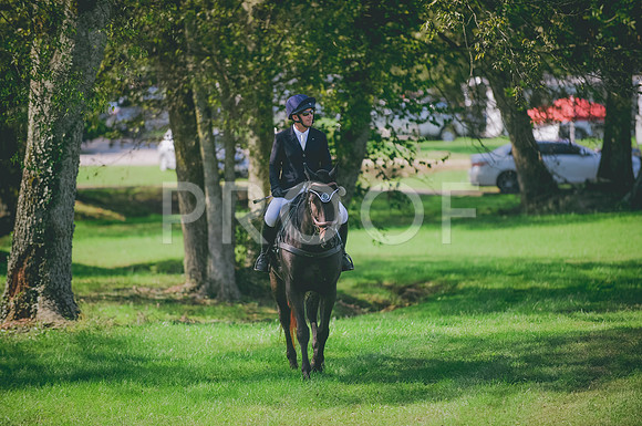 JJS_2472