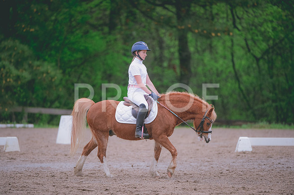 JJS_0614