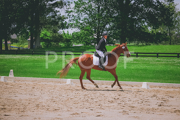 2E8A7730