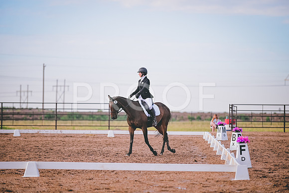 DSC_2042