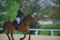 Hayley Palmer/Sir Edward