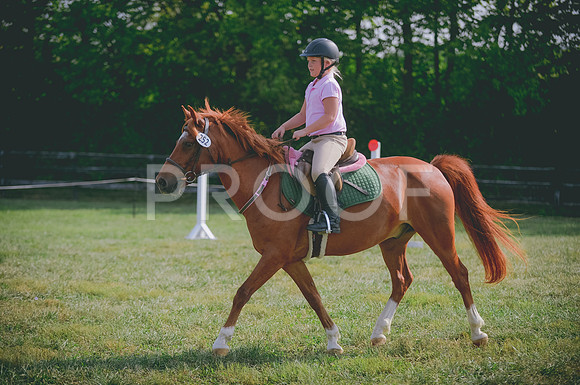 JJS_4148