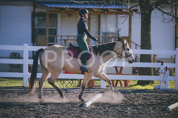 JJS_2794
