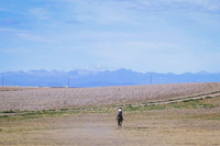 DSC_1420