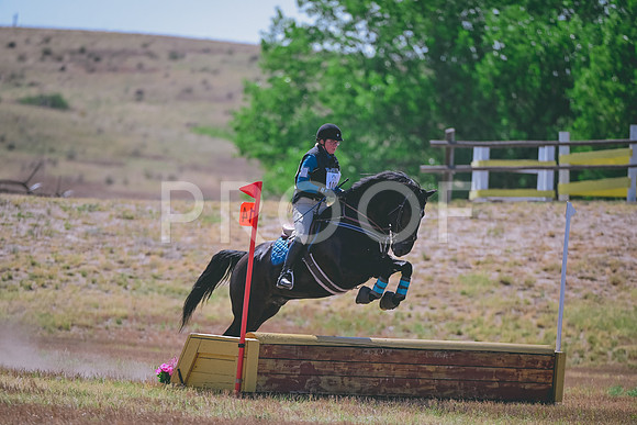 DSC_3999