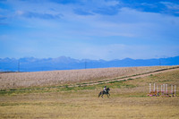 DSC_0349