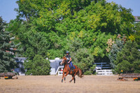 DSC_3217