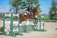 Catelyn Harms/Farfadet De Barbereau