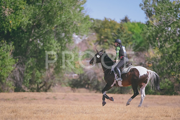 DSC_7320