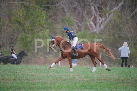 JJS_0061