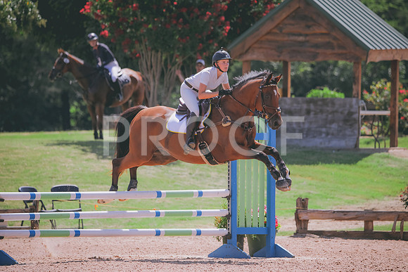RWP_5277