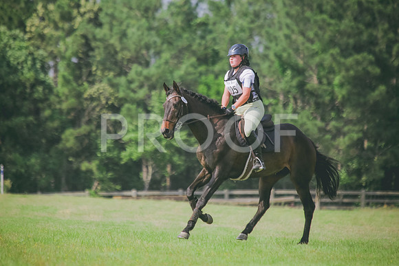 SWP_0037
