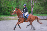 MEL_0428