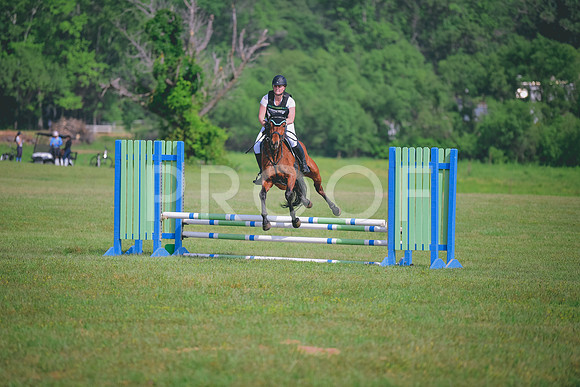 MEI_1773