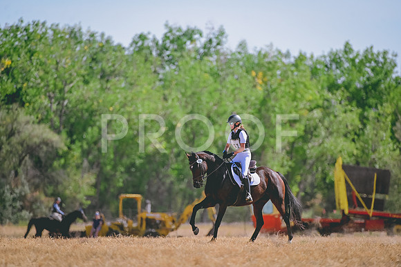 DSC_1716A