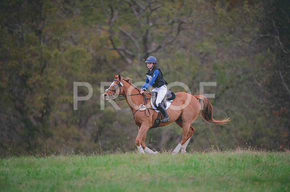 JJS_0254