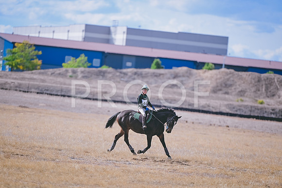 DSC_6005A