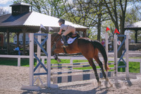 MEL_6820