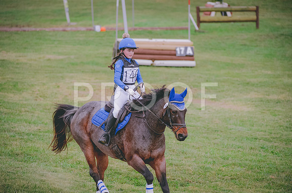 JJS_5915