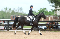 Halie Brashears -- Purple Rein