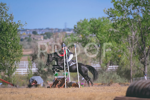 DSC_6179