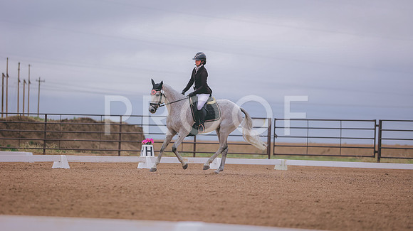 0N0A6652