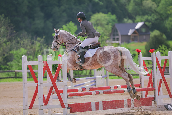 APP_8042