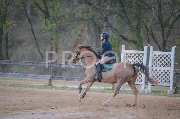 JJS_1413