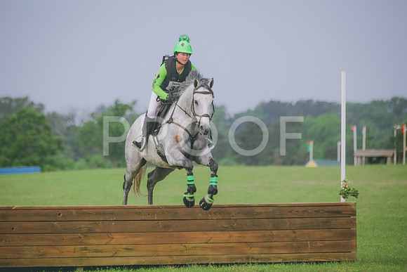 SWP_1070