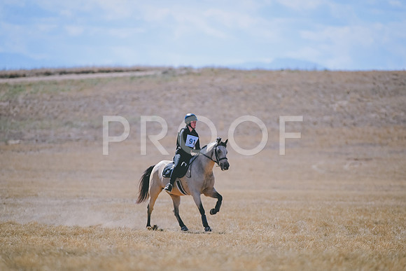DSC_1325A
