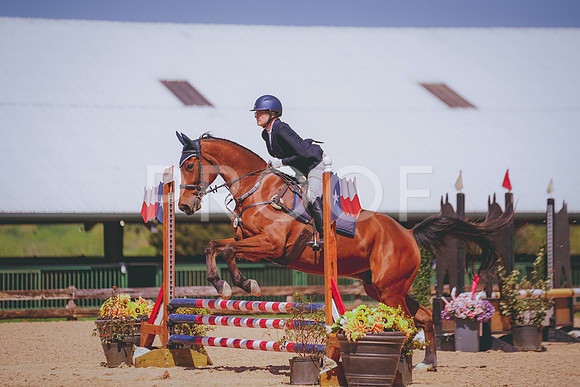 DSC09075