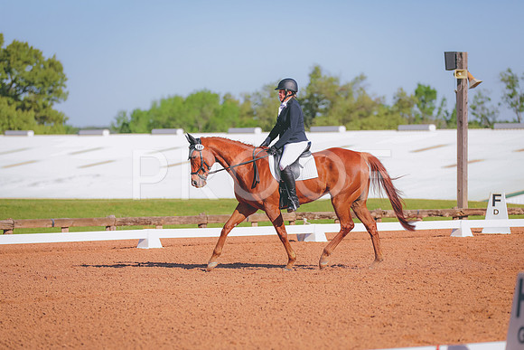 IMG_3966
