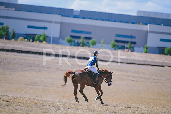 DSC_8986