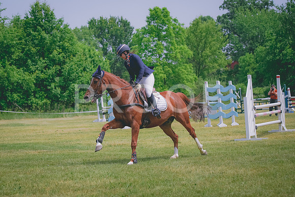 DSC00501