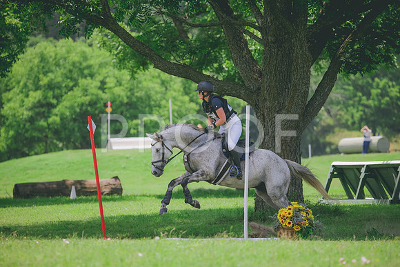 RWP_3169