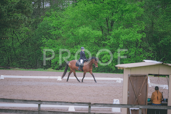 JJS_2013