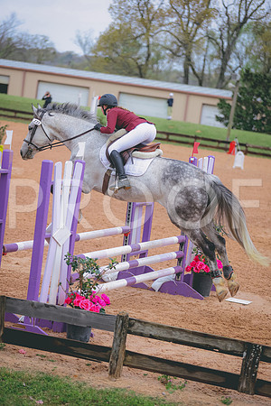 0N0A8485