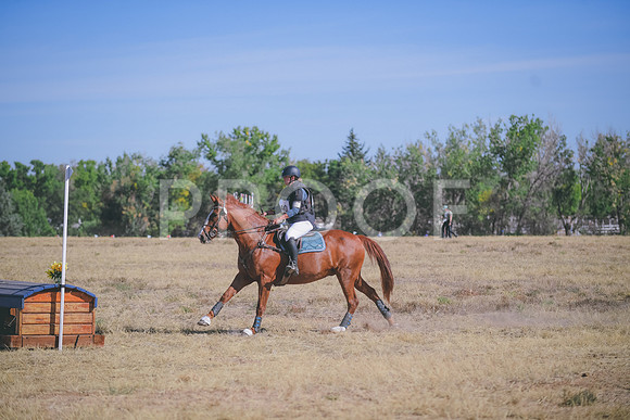 DSC_4256