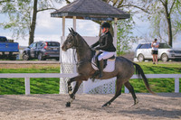 MEL_6531