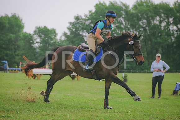 SWP_0913