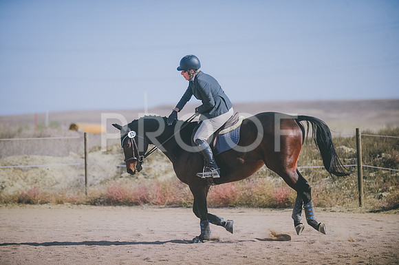 JJS_2802