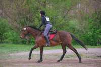 MEL_0486