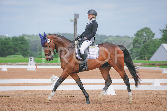 RWP_4163