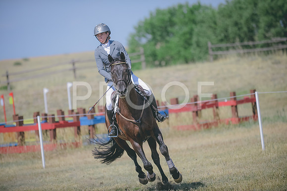 JJS_4629
