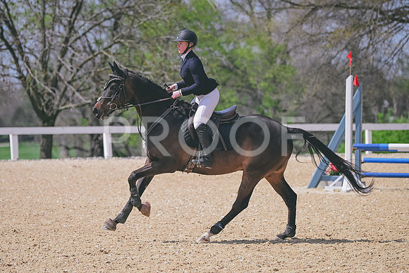 CRB_3398