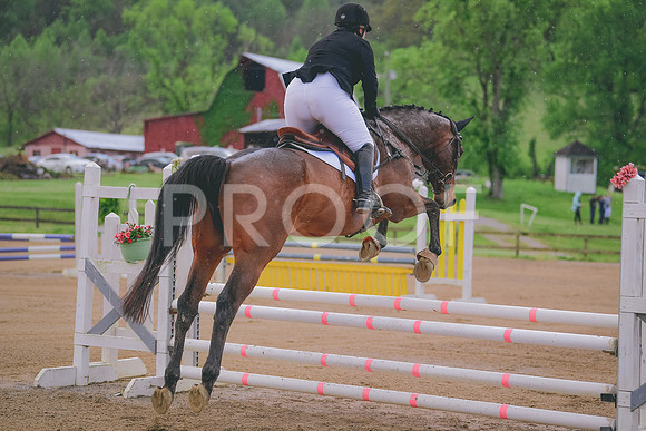 MEI_5213