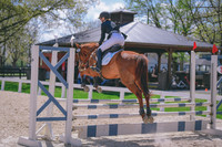 MEL_5544