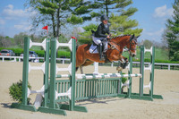 Aurea Dove/Bow-dacious