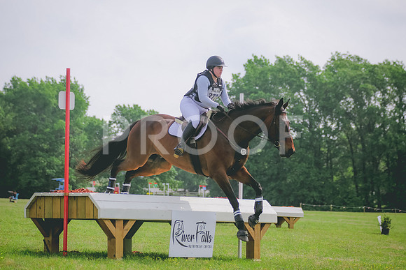 SWP_2012